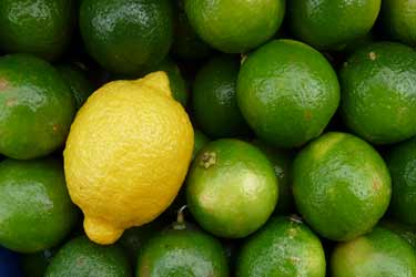 فواید لیمو: از تقویت سیستم ایمنی بدن تا کاهش وزن