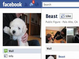 صفحه جدید فیس‌بوک برای سگ کوچولوی زاکربرگ