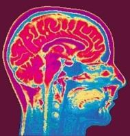 کاشت قطعات الکترونیکی در مغز با هدف افزایش بهره‌وری
