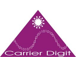 کاریار ارقام برگزار می‌کند: دوره فوق تخصصی امنیت سایبری