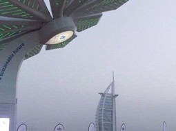 اتصال به اینترنت و شارژ تلفن با نخل‌های هوشمند در دبی