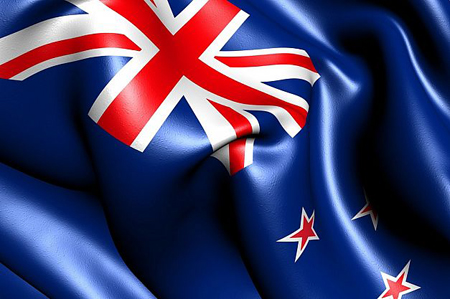 کشور نیوزیلند در سال 2006 با قیمت پایه 0.01 دلار استرالیا حراج شد و eBay جلوی فروش آن را گرفت