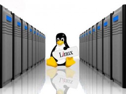 ۹۷ درصد ابرکامپیوترهای جهان مبتنی بر لینوکس