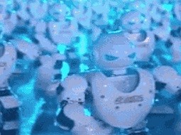 جشن روباتیک برای سال نوی چینی