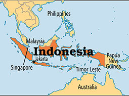 درخواست اندونزی از گوگل و شرکت‌های اینترنتی
