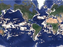 رونمایی از نقشه جهانی فعالیت‌های ماهی‌گیران توسط گوگل