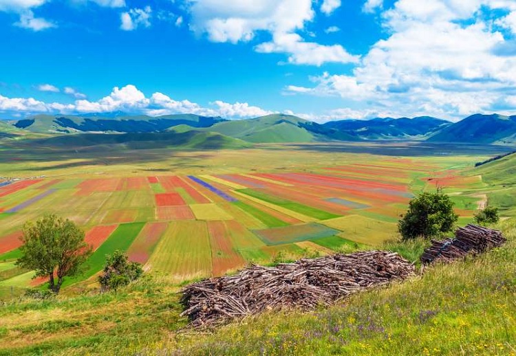 مزارع Castelluccio، ایتالیا