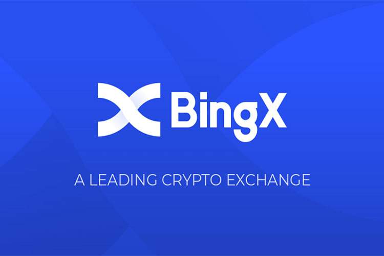 bingx بهترین صرافی ارز دیجیتال برای کپی ترید