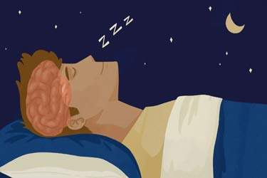 مغز هنگام خواب سعی می‌کند آینده را پیش‌بینی کند