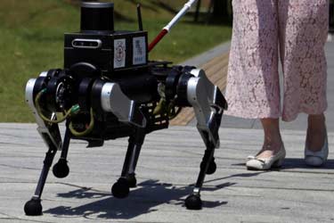 ربات سگ راهنما در چین زندگی نابینایان را آسان می‌کند