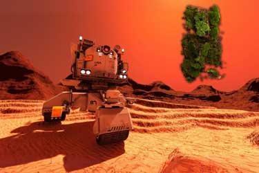 خزه می‌تواند در مریخ رشد کند