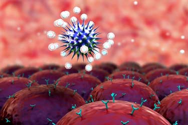 دانشمندان «درِ پشتی» مخفی ویروس آنفلوانزا برای ورود به سلول را کشف کردند